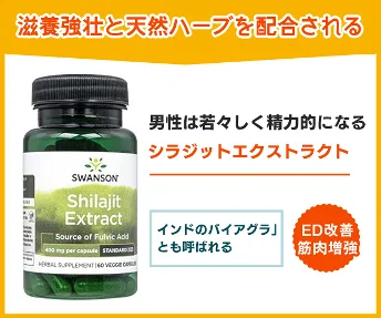 シラジットエクストラクト400mg60錠